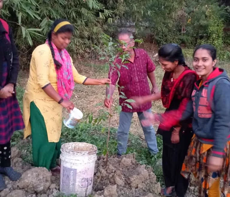 Pic of Plantation Activities