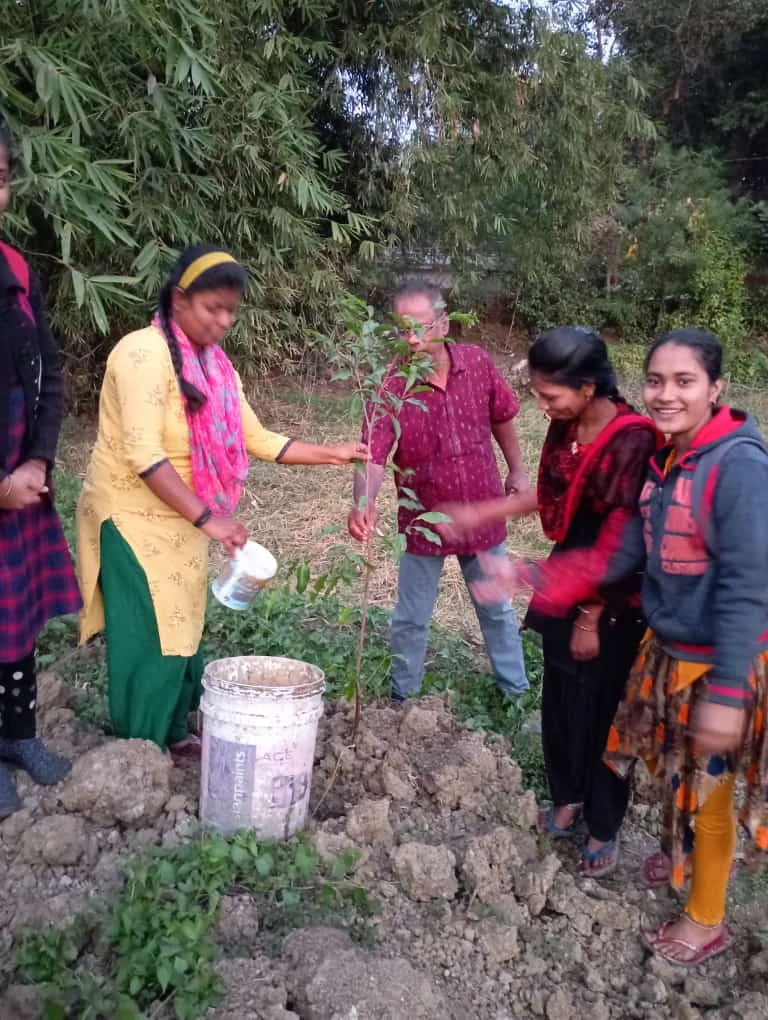 Pic of Plantation Activities