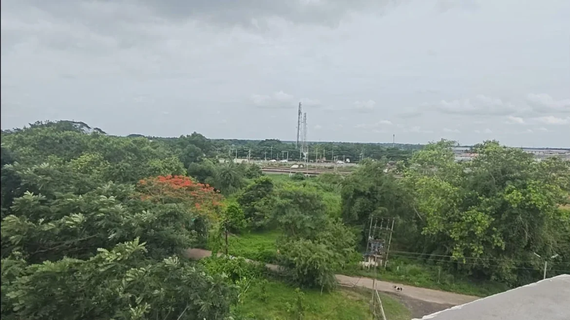 Pic of View from Rooftop of Samhita Wellness Retreat