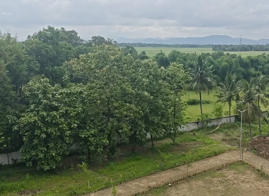 Another Pic of Campus of Samhita Wellness Retreat